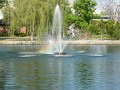 Fountain rainbow